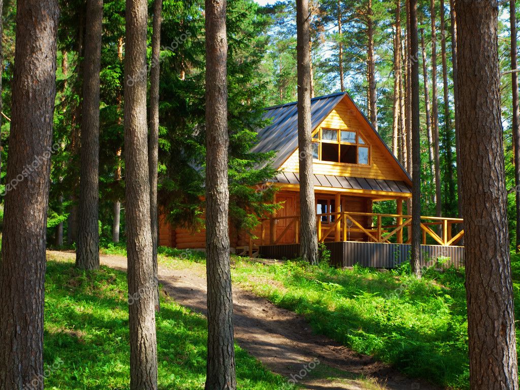 depositphotos 7810569 stock photo house in forest
